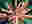 Image by Hikari Otsuka from The World We Want showing a circle of hands touching Image by Hikari Otsuka from The World We Want showing a circle of hands touching
