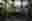 Paddington Reservoir © Joe Brn Photography Paddington Reservoir © Joe Brn Photography